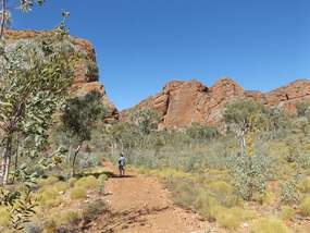 Homestead walk