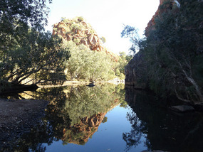 swimming saw pit gorge