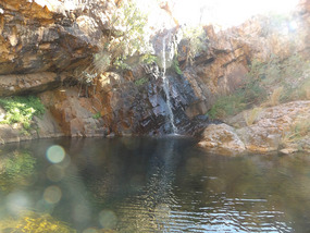 Ngamoowalem CP Molly springs