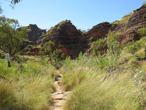 Walking trail Mirima NP