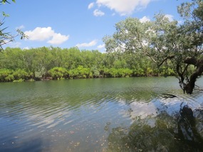 Mardugal Billabong