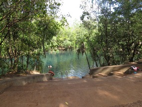 Berry springs swim