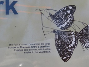 Butterfly gorge 