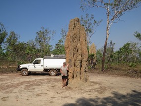 Cathédrale  termite mound 