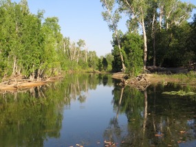 Douglas hot springs swimming area