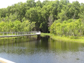Fogg dam