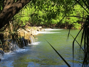 Mataranka falls  on Roper river