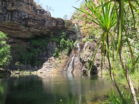 Sandy creek swim 