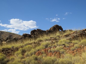 do you see dragon 