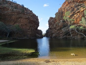 Ellery creek big hole 