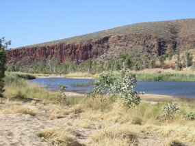 Finke river  from Mt Sonder lookout