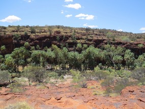 Palm valley 