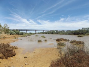 Algebukina bridge camp