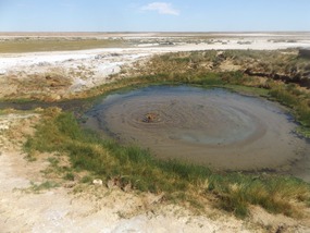 bubbler mound springs 