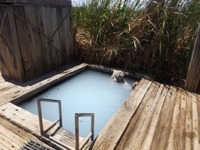  Coward springs 