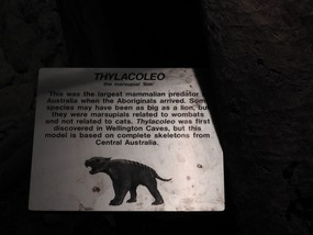 Diprotodon