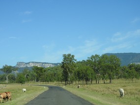 Driving into Carnarvon Gorge 