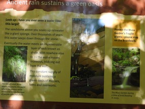 Moss garden Carnarvon 
