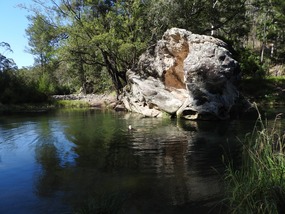 swimming in Rock pool