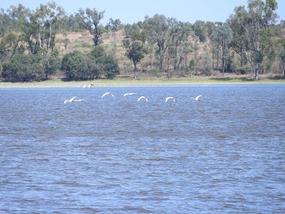 Theresa creek dam