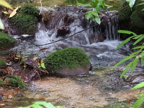 creek Mt Lewis