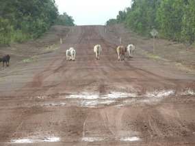 obstacles