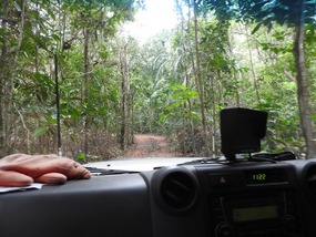 Road into Sadd point 