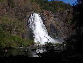 Bloomfield falls 