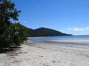 Cape Tribulation