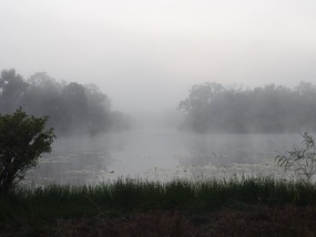 early morning horseshoe lagoon