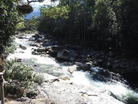  Mossman river 