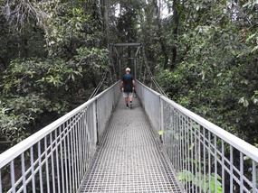 swing bridge Mossman gorge 