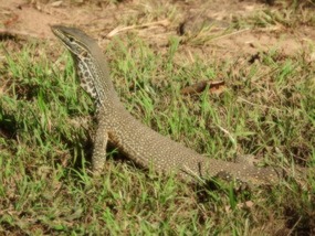 visitor to kalpower camp