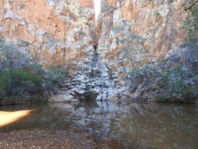 Fountain springs 