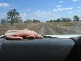 road to Camooweal 