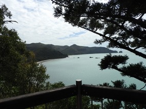 another lookout cape hillsborough