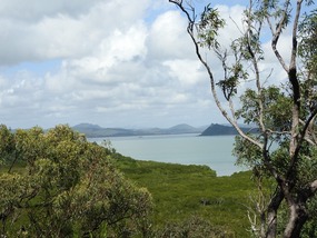 lookout 1 cape hillsborough