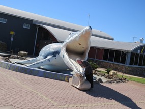 Richmond Plesiosaur
