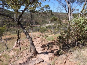 track down gorge