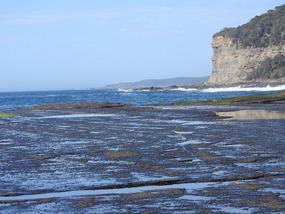 depot beach