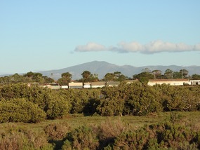 Flinders Ranges 