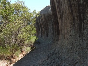 Pildappa rock