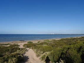 Shelly beach from caravan park 