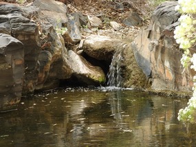 Spear creek 