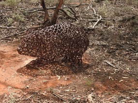 wombat