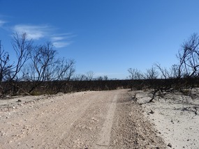 Burnt area