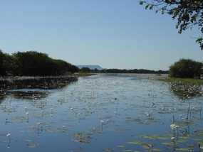 Parry creek