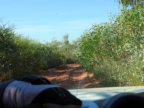 Road to Cowrie creek