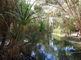 Bitter springs ot swim area