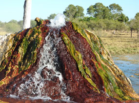 Burketown hot water bore